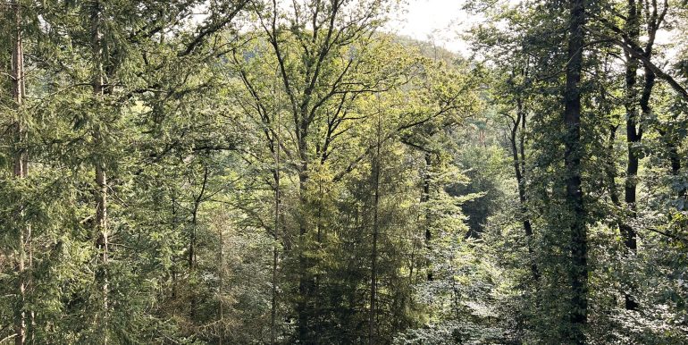 Blick vom Balkon