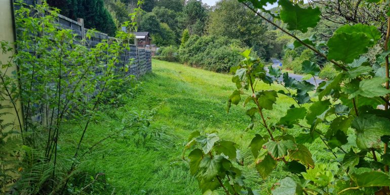 Blick auf die Wiese