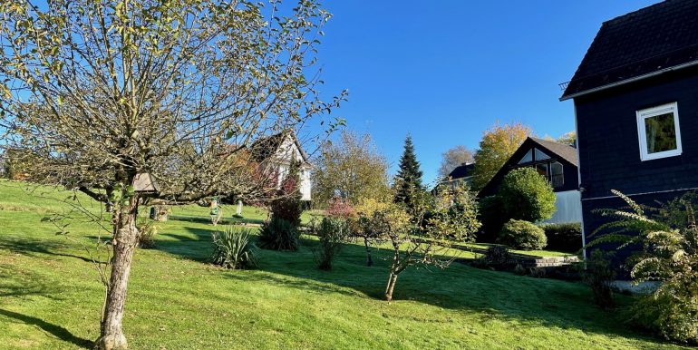 großer Garten mit Gestaltungsmöglichkeiten